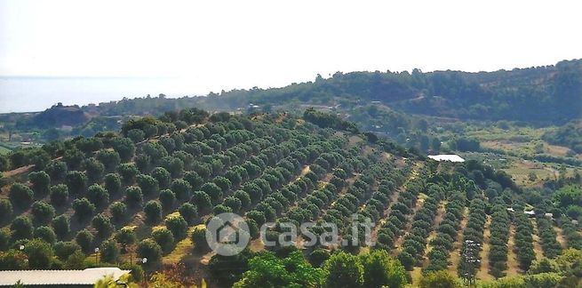 Terreno agricolo in commerciale in Località Caldarello