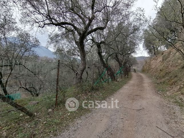 Terreno agricolo in commerciale in sieti