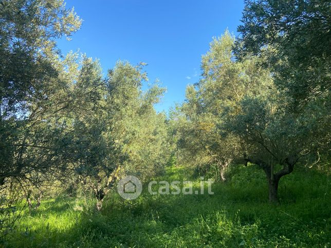 Terreno agricolo in commerciale in Via Settembrini