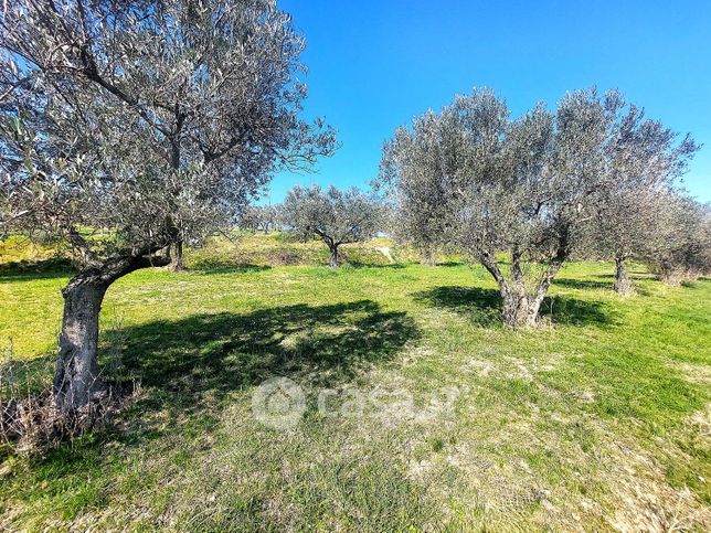 Terreno agricolo in commerciale in LocalitÃ  Poggiolo
