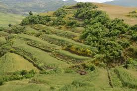 Terreno agricolo in commerciale in Via Serroni Alto