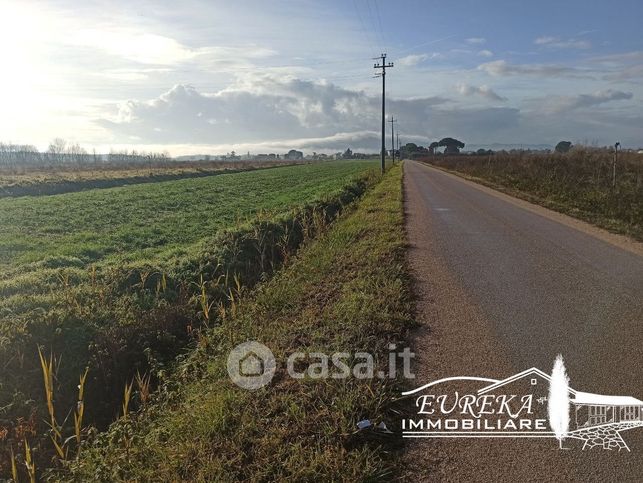 Terreno agricolo in commerciale in Via Romea