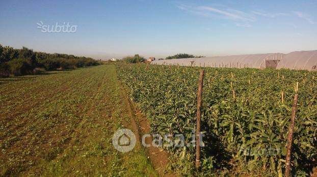 Terreno agricolo in commerciale in Via Aria di Settembre