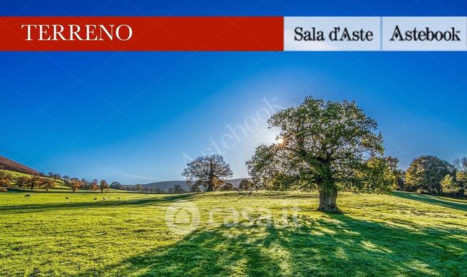 Terreno agricolo in commerciale in 