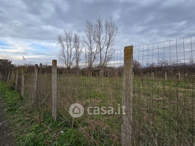 Terreno agricolo in commerciale in Strada Vicinale delle Monache 428