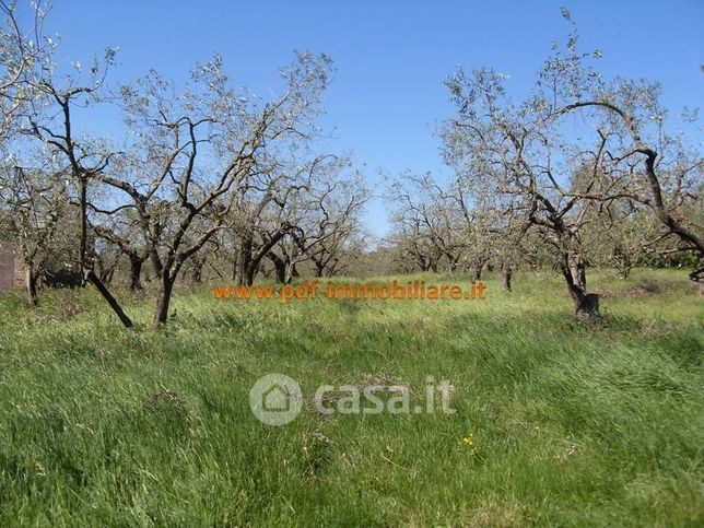 Terreno agricolo in commerciale in 