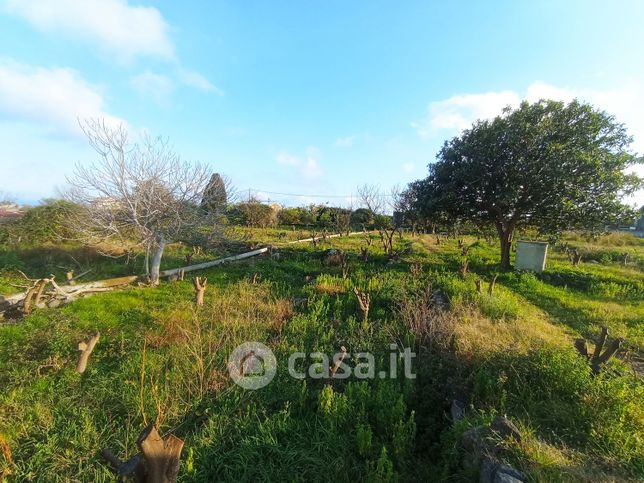 Terreno agricolo in commerciale in Viale delle provincie