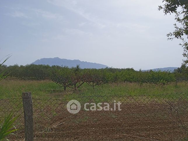 Terreno agricolo in commerciale in Via Piano del Vicario