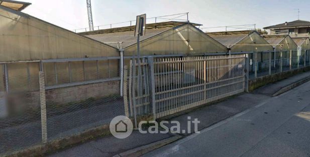 Terreno agricolo in commerciale in Via degli Assini