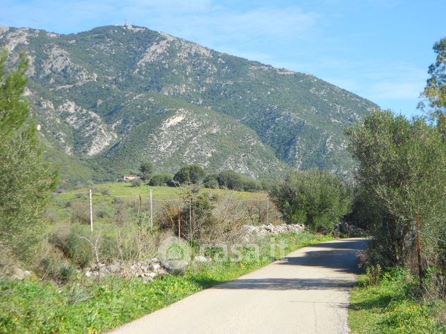 Terreno agricolo in commerciale in Località Funtana Marzu