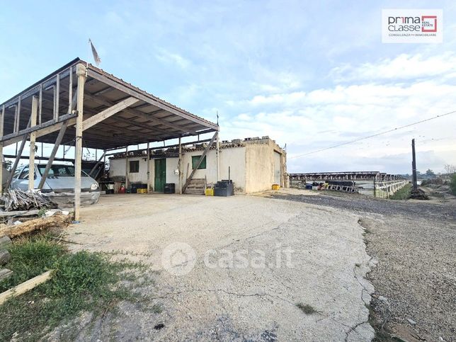 Terreno agricolo in commerciale in Contrada RANDELLO