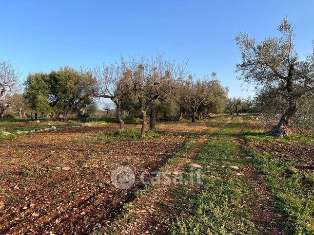 Terreno edificabile in residenziale in 