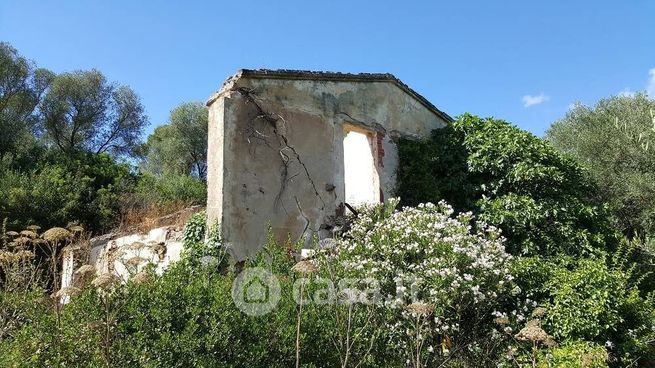 Terreno agricolo in commerciale in 