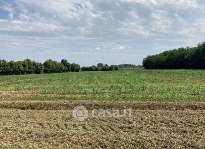 Terreno agricolo in commerciale in Via Giovanni Magrini