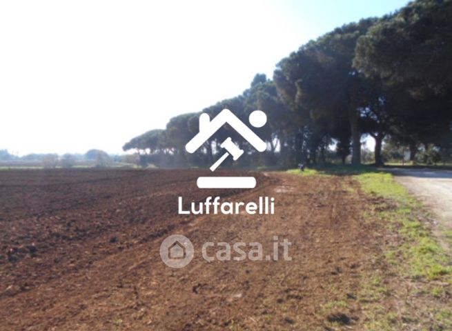 Terreno agricolo in commerciale in Piazza del Popolo