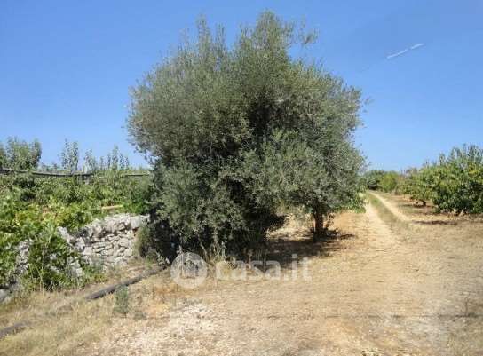 Terreno agricolo in commerciale in Strada Statale 172