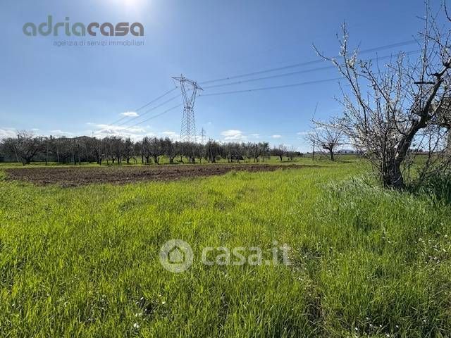 Terreno agricolo in commerciale in Via Tavoleto