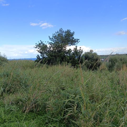 Terreno agricolo in commerciale in Via Nazionale Vigliatore 4 /a