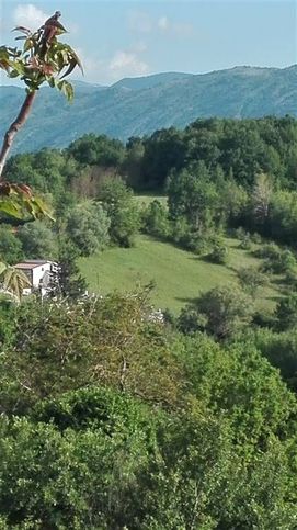 Terreno agricolo in commerciale in Via Valeria