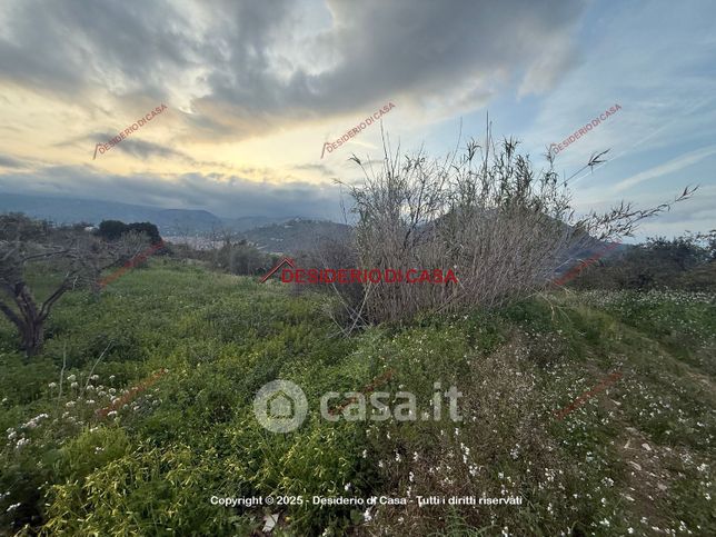 Terreno agricolo in commerciale in Strada Provinciale 127