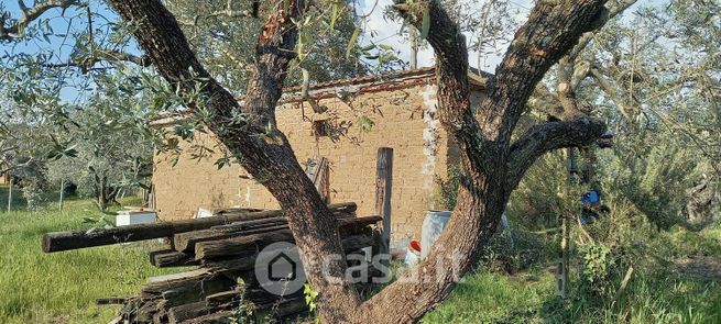 Terreno agricolo in commerciale in Via degli Olmi 14