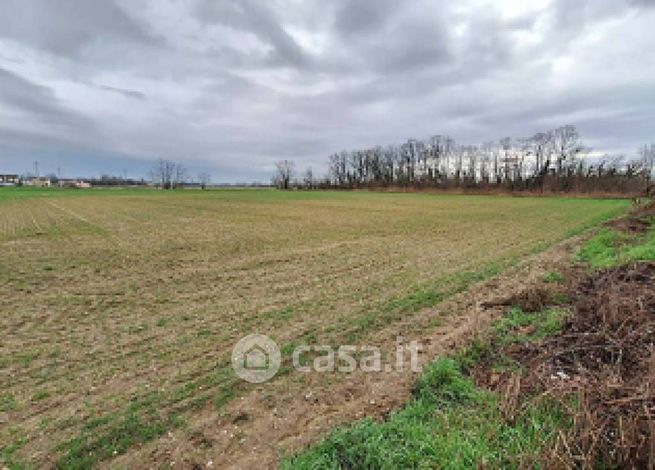 Terreno edificabile in residenziale in Strada Provinciale 185