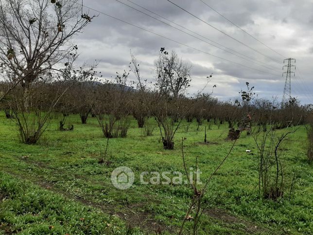 Terreno agricolo in commerciale in Nola