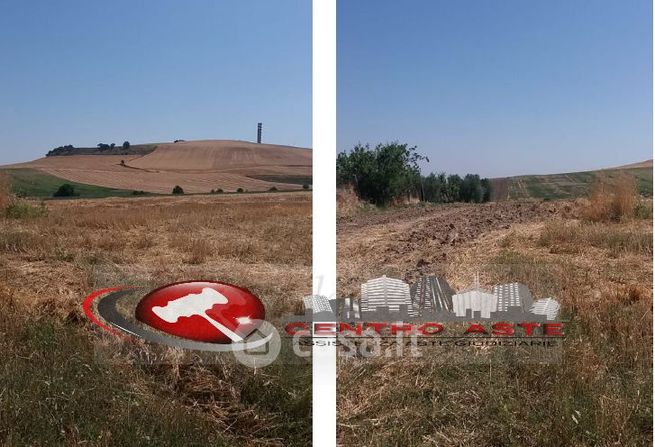 Terreno agricolo in commerciale in Strada Senza Nome