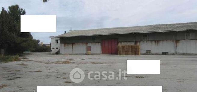 Capannone in commerciale in Località la marinella