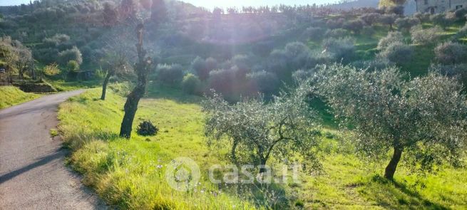 Terreno agricolo in commerciale in