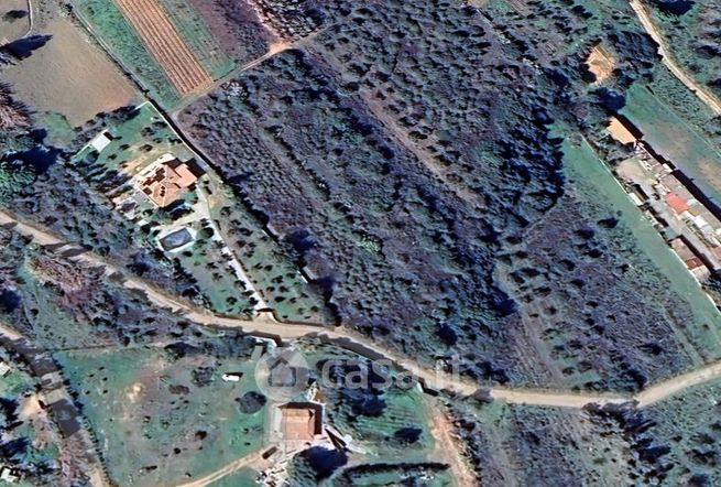 Terreno agricolo in commerciale in 
