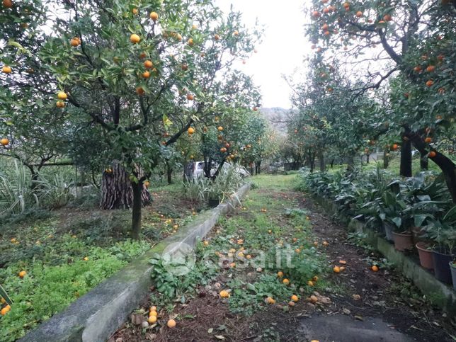 Terreno agricolo in commerciale in Via Pagliarone