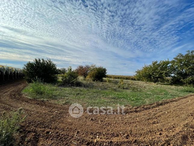 Terreno agricolo in commerciale in 