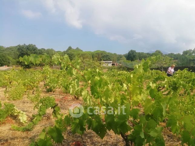 Terreno agricolo in commerciale in 