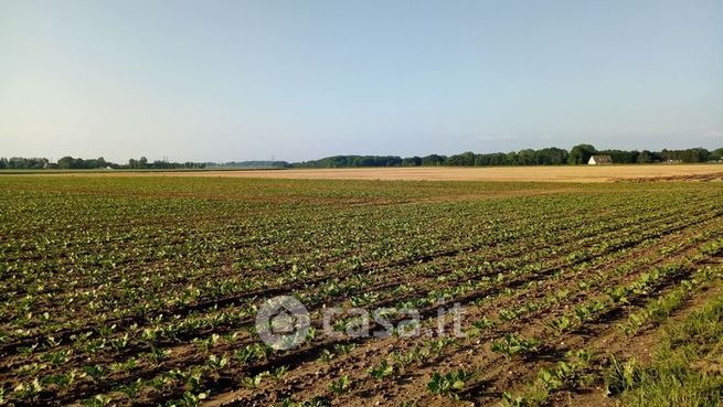 Terreno agricolo in commerciale in 