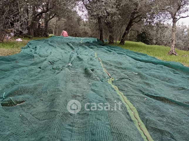 Terreno agricolo in commerciale in Strada Comunale del Sodo