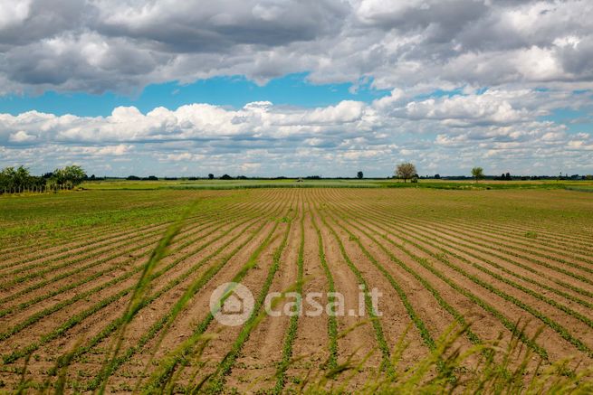 Terreno agricolo in commerciale in Via San Bartolomeo