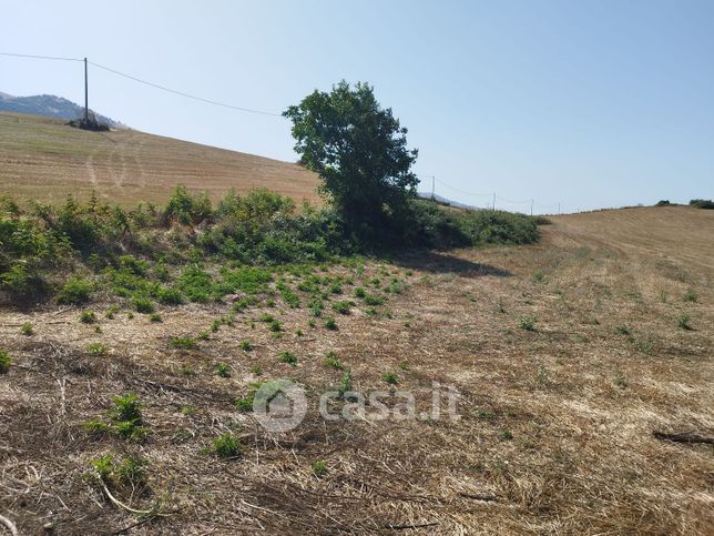 Terreno agricolo in commerciale in Contrada La Fossa