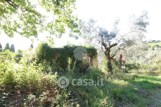 Terreno agricolo in commerciale in Via dei Filosofi 17