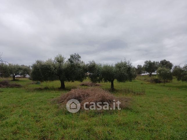 Terreno agricolo in commerciale in Via della Stallonara 31