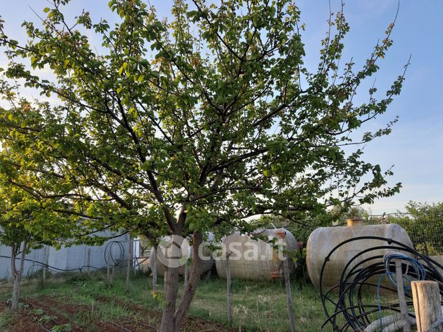 Terreno agricolo in commerciale in Via delle quote