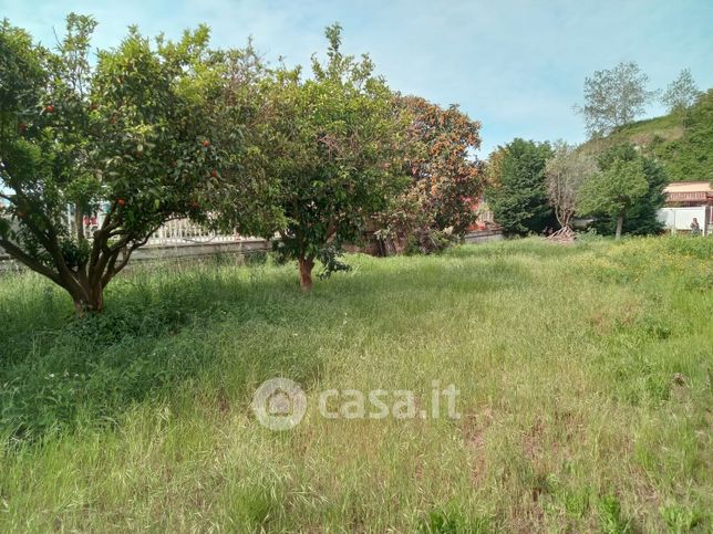 Terreno agricolo in commerciale in Via Vicinale Torciolano