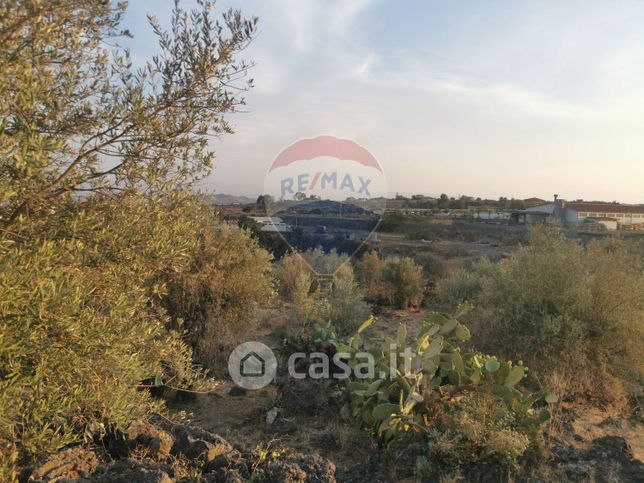 Terreno agricolo in commerciale in Via Campo Sportivo