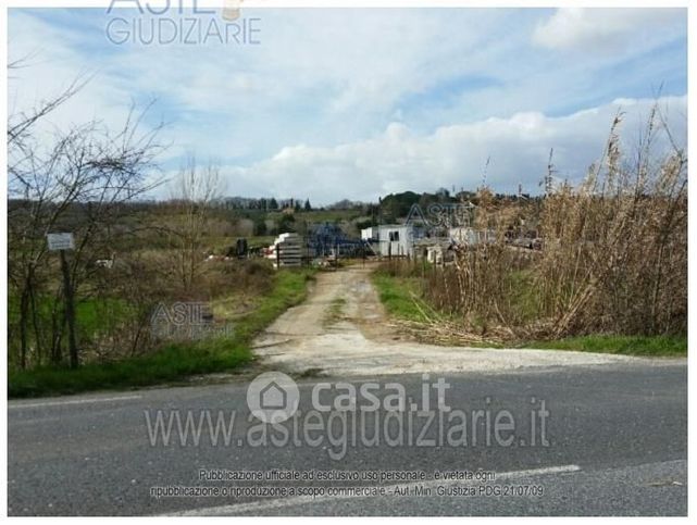 Terreno agricolo in commerciale in Strada Regionale 206