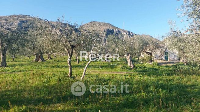 Terreno agricolo in commerciale in 