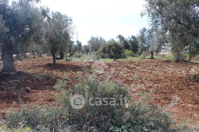 Terreno agricolo in commerciale in Contrada Cento Pezze