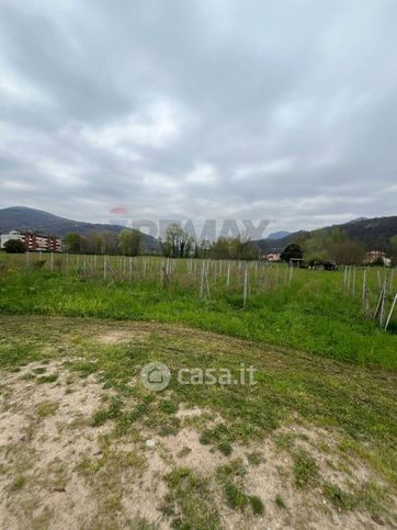 Terreno agricolo in commerciale in 