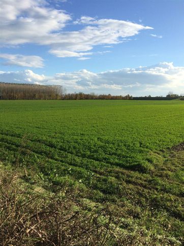 Terreno agricolo in commerciale in 