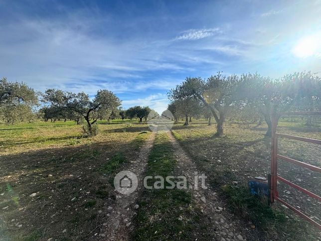 Terreno agricolo in commerciale in 