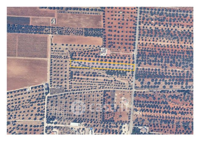 Terreno agricolo in commerciale in SP115 4